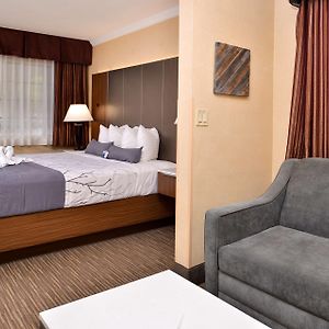 King Room Sofa Bed Upper Floor